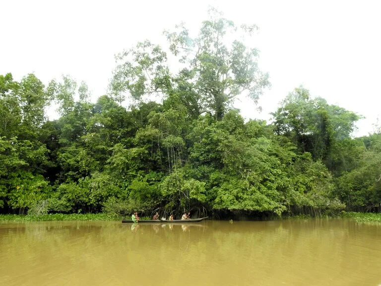 デルタオリノコでカヌーを漕いでいる人
