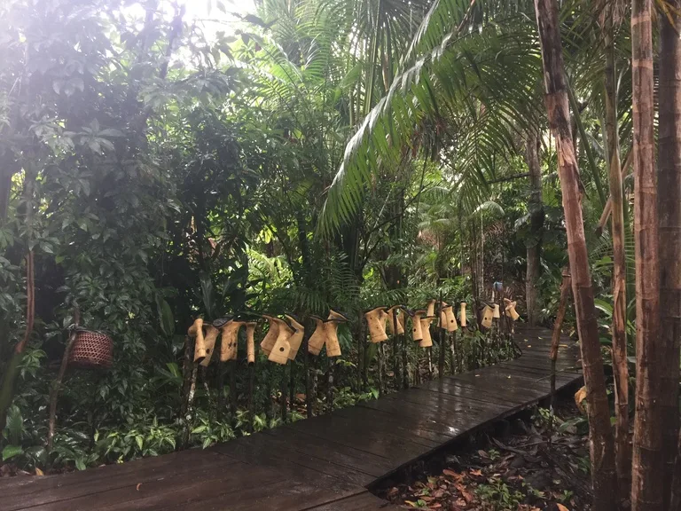 ベネズエラ、Orinoco Eco Campの庭に干してあるたくさんの長靴