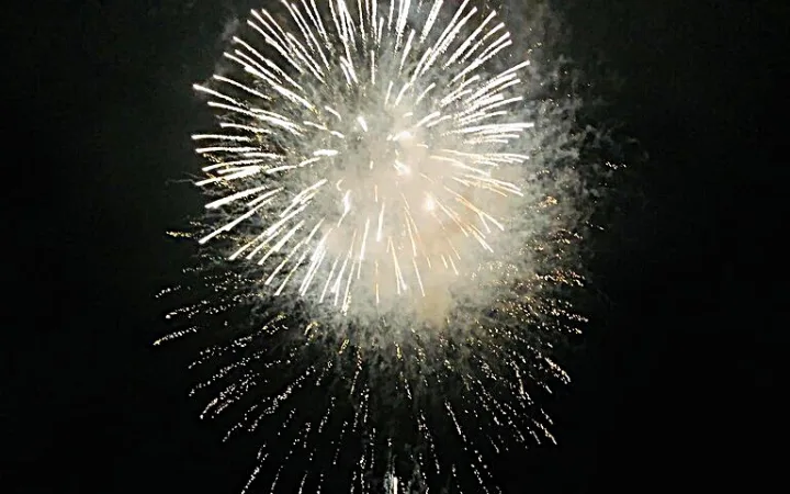 夜空に咲く大輪の花火