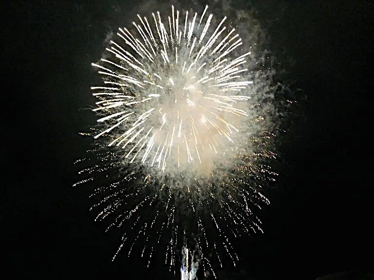 夜空に咲く大輪の花火
