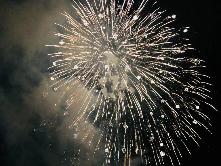 夜空に咲く美しい大輪の花火