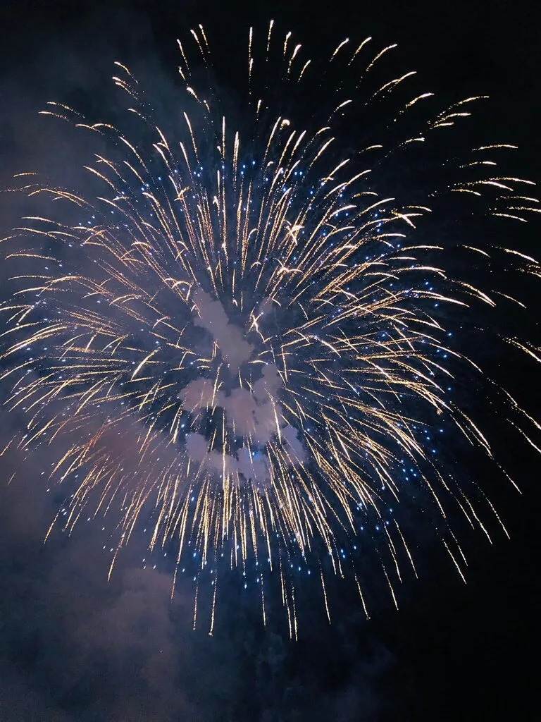 夜空に咲く大輪の花火