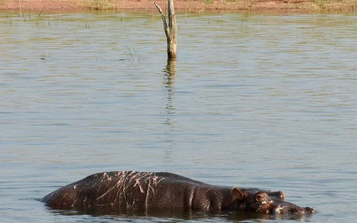 ãžã³ãããšã®ã«ãªãæ¹ã«äœãå·ãè² ã£ãã«ã