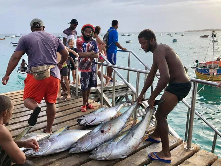 カーボベルデの桟橋で魚を引き上げる人たち