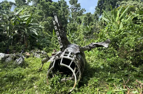 å±±æ¬äºåå
å¢èœæ© ããŒã²ã³ãã«å³¶ ããã¢ãã¥ãŒã®ãã¢