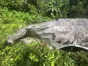 ブーゲンビル島のジャングルに残る山本五十六墜落機の残骸