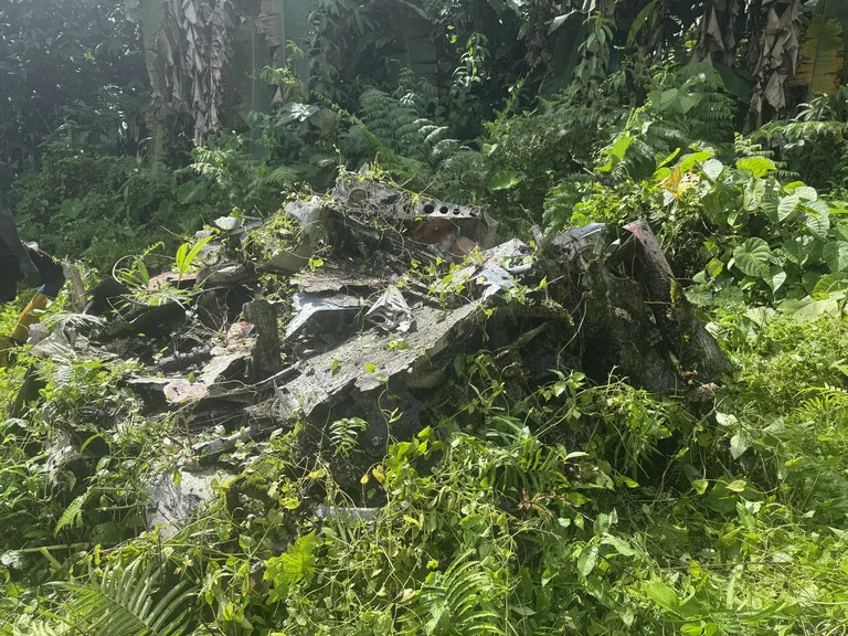 ジャングルに埋もれた山本五十六墜落機の残骸(ブーゲンビル島)