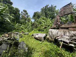 ブーゲンビル島のジャングルに残る山本五十六墜落機の残骸