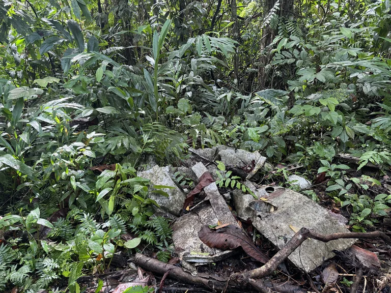 ブーゲンビル島に残る第二次世界大戦時代の戦闘機の残骸