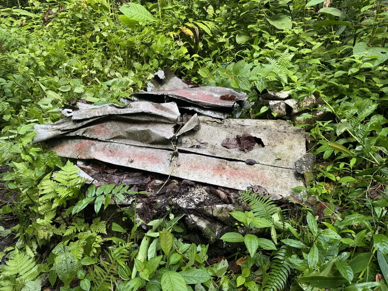 ブーゲンビル島に残る山本五十六墜落機の残骸