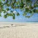 パラオにあるカヤンゲル島のビーチ