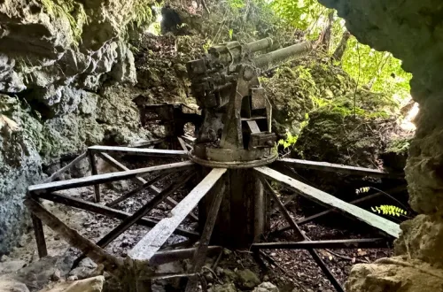ペリリュー島にある日本軍大砲跡（Japanese Military Cannon）