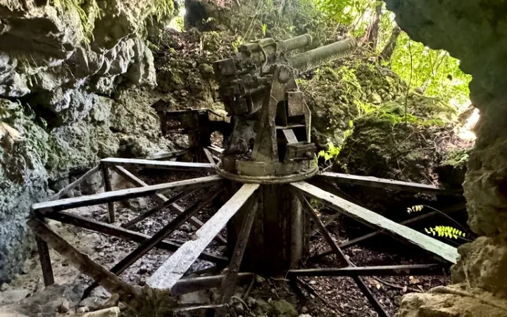 ペリリュー島にある日本軍大砲跡（Japanese Military Cannon）