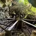 ペリリュー島にある日本軍大砲跡（Japanese Military Cannon）