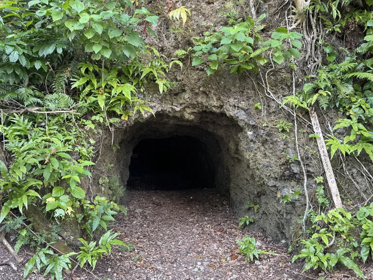 パラオのペリリュー島にある千人洞窟（Thousand Man Cave）の入口